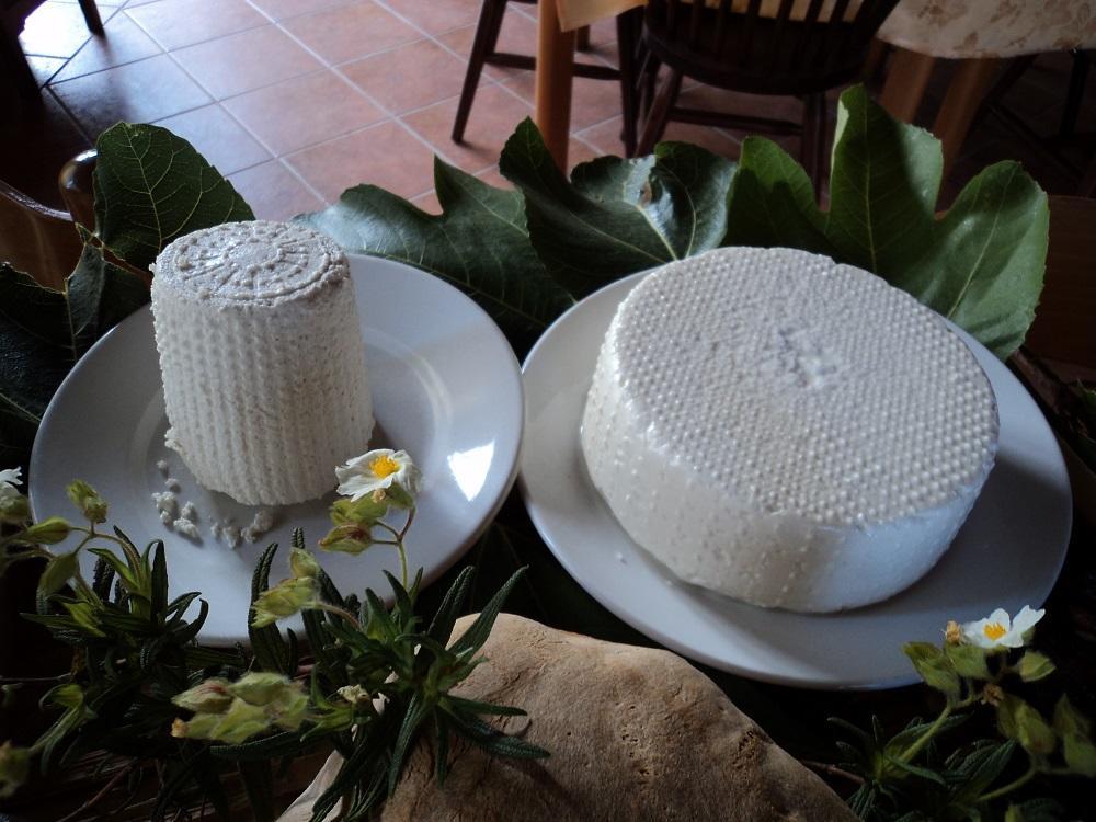 Agriturismo Aurella Ascea Eksteriør bilde